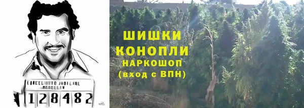 a pvp Каменногорск