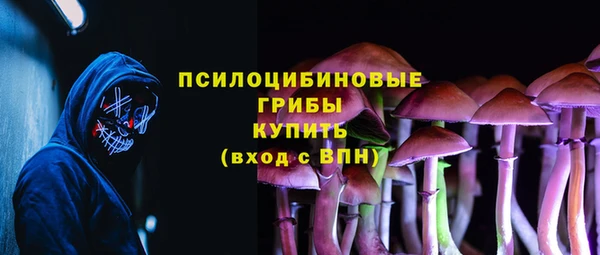 COCAINE Каменка