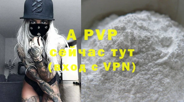 a pvp Каменногорск