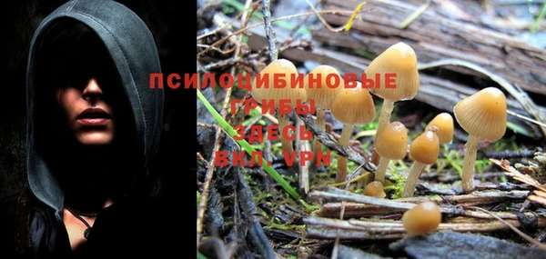 a pvp Каменногорск