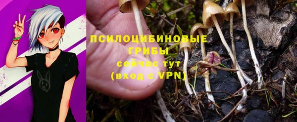 a pvp Каменногорск