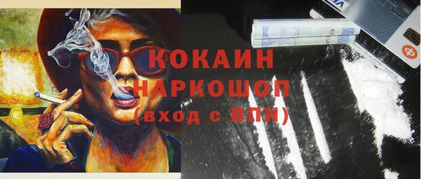 a pvp Каменногорск