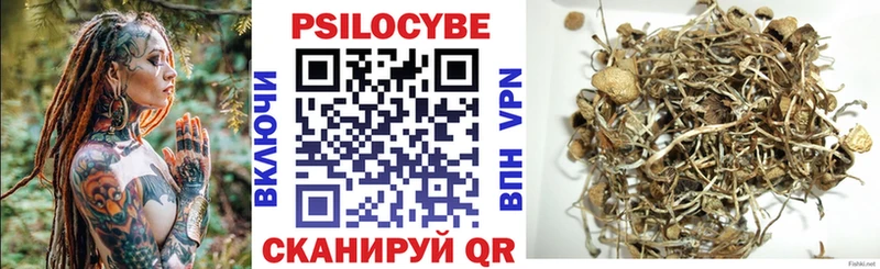 Купить  Ивдель  Галлюциногенные грибы MAGIC MUSHROOMS 